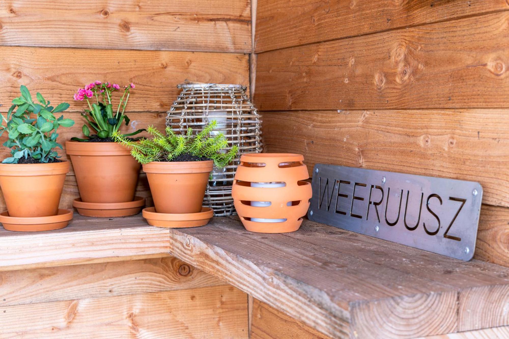Weeruusz Bed & Breakfast Kolderwolde Dış mekan fotoğraf